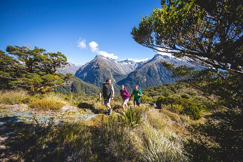 Image of Te Anau